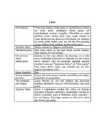 Konspekts 'Brāļu Kaudzīšu romāna “Mērnieku laiki” literāro tēlu analīze', 4.