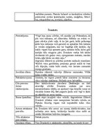 Konspekts 'Brāļu Kaudzīšu romāna “Mērnieku laiki” literāro tēlu analīze', 7.