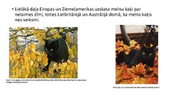 Prezentācija 'Kaķis kā simbols', 17.