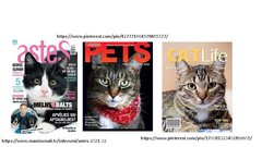 Prezentācija 'Kaķis kā simbols', 20.