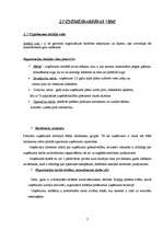 Prakses atskaite 'Pārtikas preču mazumtirdzniecības uzņēmums "Mārīte"', 7.