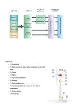 Referāts 'Vēja enerģija ir viena no visefektīvākajām alternatīvām atjaunojamiem enerģijas ', 30.