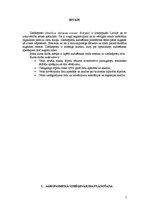 Referāts 'Pētījumu metodika', 3.