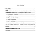 Referāts 'Eiropas Savienības fondu administrēšanas problēmas', 1.