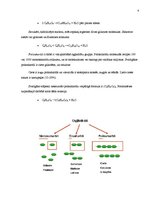 Konspekts 'Ogļhidrāti', 6.