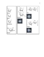 Konspekts 'Ogļhidrāti', 8.