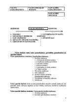 Referāts 'Valsts budžets', 6.