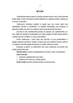 Referāts 'Risku veidi uzņēmējdarbībā', 3.