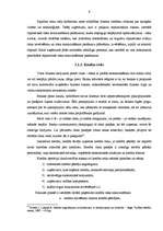 Referāts 'Risku veidi uzņēmējdarbībā', 9.