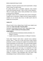 Referāts 'Transporta politika Eiropas Savienībā', 4.