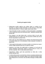 Konspekts 'Brīvības vērtība', 3.