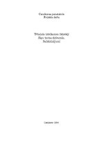 Referāts 'Tēlainās izteiksmes līdzekļiJāņu tautas dziesmās.Salīdzinājumi', 1.