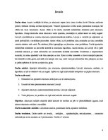 Referāts 'Atkritumu apsaimniekošana un to ietekme uz vidi', 4.