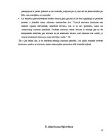 Referāts 'Atkritumu apsaimniekošana un to ietekme uz vidi', 19.