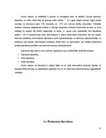 Referāts 'Atkritumu apsaimniekošana un to ietekme uz vidi', 20.