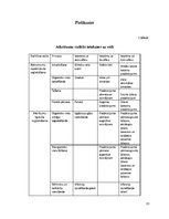 Referāts 'Atkritumu apsaimniekošana un to ietekme uz vidi', 33.