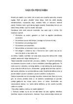 Referāts 'Bērni un kreativitāte', 2.