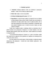 Referāts 'Projekts - uzņēmuma izveide', 3.