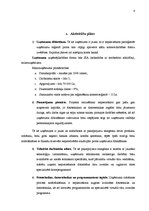 Referāts 'Projekts - uzņēmuma izveide', 6.