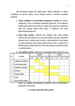 Referāts 'Projekts - uzņēmuma izveide', 7.