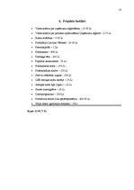 Referāts 'Projekts - uzņēmuma izveide', 10.