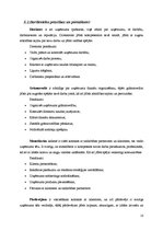 Biznesa plāns 'SIA "Just"', 10.