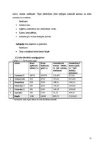 Biznesa plāns 'SIA "Just"', 11.