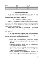 Biznesa plāns 'SIA "Just"', 13.