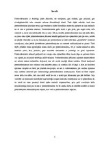 Referāts 'Postmodernisms un tā ietekme uz politikas teoriju', 3.