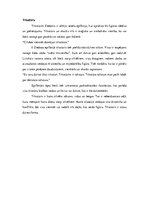 Eseja 'Algebras elementi Imanta Ziedoņa epifānijās un to simboliskais izmantojums', 4.