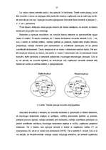 Diplomdarbs 'Motivācijas vides novērtēšana uzņēmumā', 57.