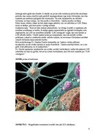 Referāts 'Kreicfelda - Jakoba slimība', 6.