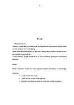 Konspekts 'Latviešu valodas stili', 4.