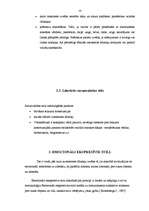 Konspekts 'Latviešu valodas stili', 10.