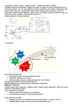 Konspekts 'Personības psiholoģija', 2.