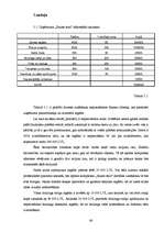 Diplomdarbs 'Atpūtas kompleksa "Saules stari" izveidošanas plāns, piesaistot Eiropas Savienīb', 66.