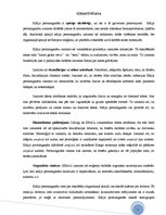 Referāts 'Kālija permanganāts KMnO4', 7.