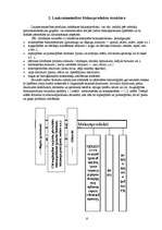 Referāts 'Biomasas izmantošana Latvijā', 6.