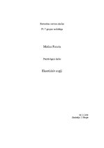 Konspekts 'Eksotiskie augļi', 1.