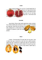 Konspekts 'Eksotiskie augļi', 3.