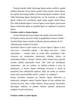 Konspekts 'Frančaizinga līgums', 12.