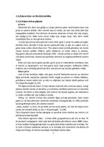 Referāts 'Andreja Dripes romāna "Pēdējā barjera" apskats', 4.