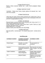 Paraugs 'Slimības vēsture ginekoloģijā', 5.