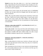 Konspekts 'Veselīga uztura piramīda', 2.