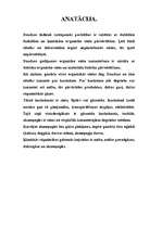 Referāts 'Nafta', 6.