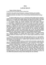 Eseja 'Sacīkstes princips', 1.