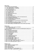 Diplomdarbs 'Reklāmas aģentūras SIA "Join" izveides plāns', 3.