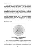 Diplomdarbs 'Reklāmas aģentūras SIA "Join" izveides plāns', 9.