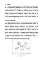 Diplomdarbs 'Reklāmas aģentūras SIA "Join" izveides plāns', 12.