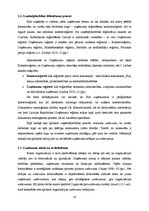 Diplomdarbs 'Reklāmas aģentūras SIA "Join" izveides plāns', 24.